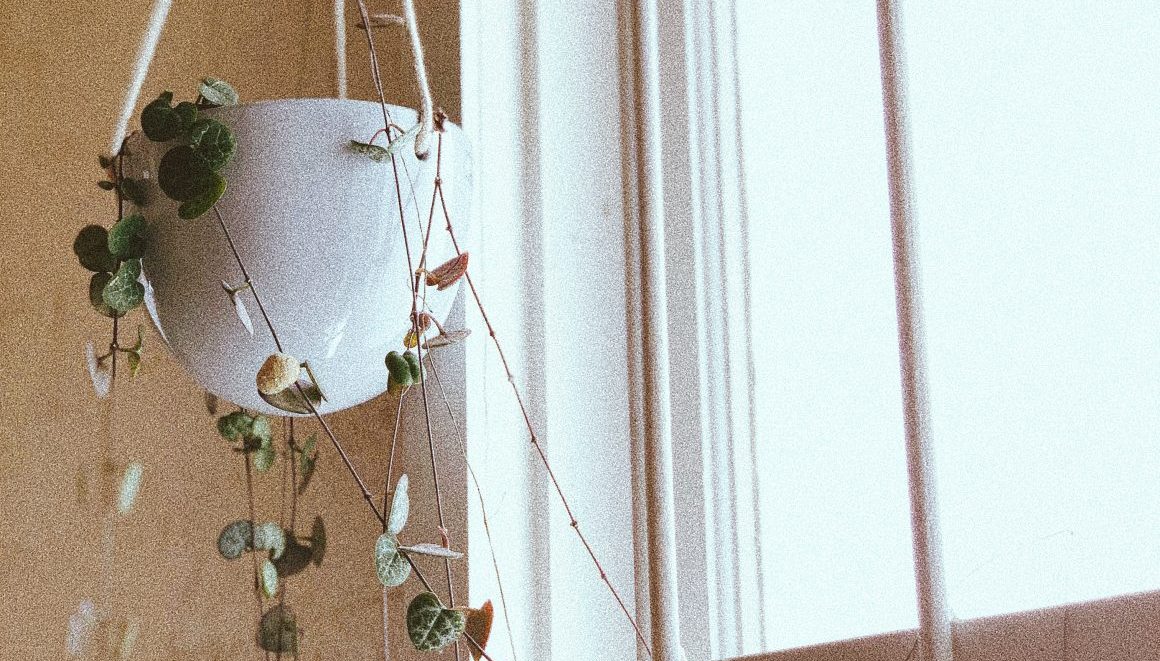 seeker+kind chain of hearts